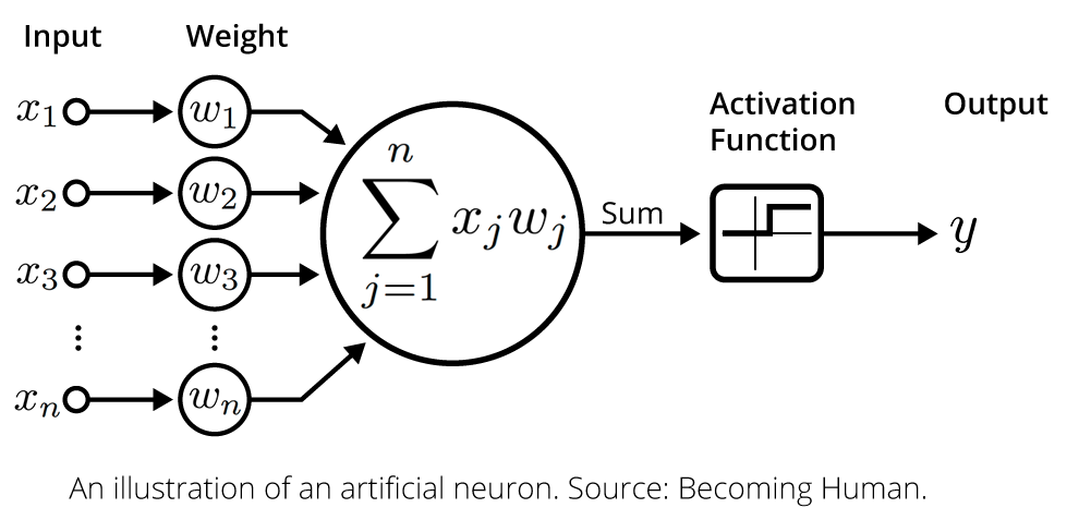 A neuron's activation function